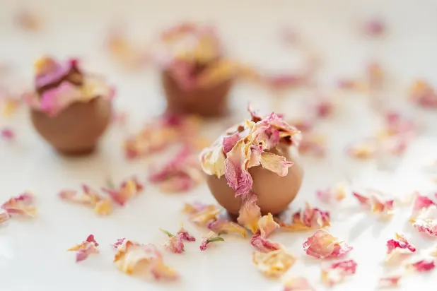 Tusk Cazino Cazinou Aplicație Android/iOS